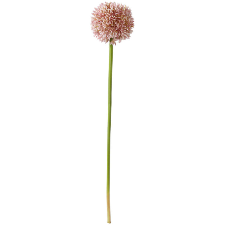 Umělá Květina Allium I -Paz-